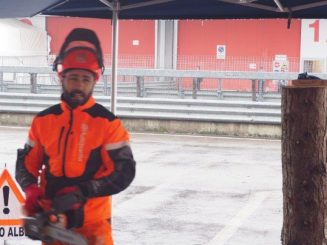 (UNITÀ FORMATIVA F4) UTILIZZO IN SICUREZZA DELLA MOTOSEGA NELLE OPERAZIONI DI ABBATTIMENTO ED ALLESTIMENTO, LIVELLO AVANZATO
