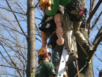 GESTIONE DELLE EMERGENZE E RECUPERO DEL FERITO IN TREE CLIMBING